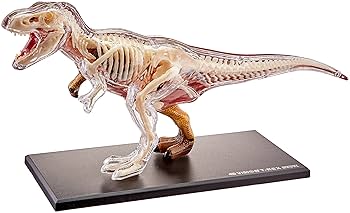 Amazon | 恐竜 T-Rex 動物 解剖 骨 模型 立体 モデル 4D 教材